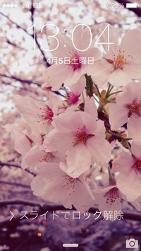 ファイル 326-2.jpg